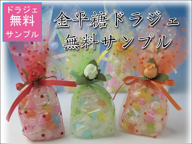 �ɥ饸������ץ롡�ȥåײ���